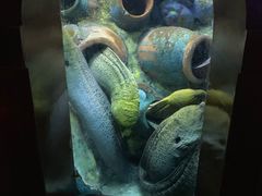 -太平洋海底世界