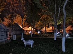 -九十九顶毡房(阜石路店)