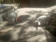 -金石唐风国际温泉会馆