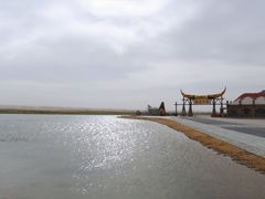 -通湖草原