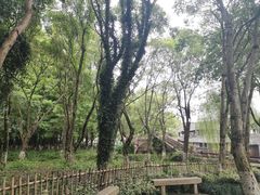 -乌镇东栅景区