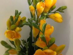 -7fresh七鲜(大族广场店)