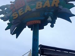 -海合安青岛极地海洋公园