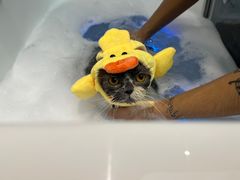 -FAELING PETS美天灵宠物(富力广场店)