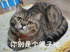 -星都会KTV(润政广场店)