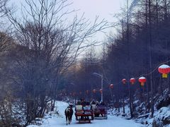-参仙谷生态旅游度假区