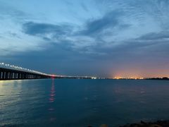 -宝安西湾红树林湿地公园