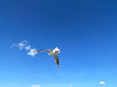 -海埂大坝