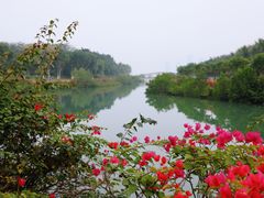 -万绿园
