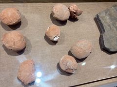 -烟台市博物馆
