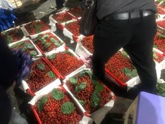 -菜园坝水果市场