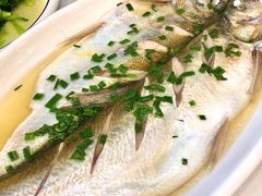 -蟹天蟹地农家菜·阳澄湖大闸蟹(浅水湾店)