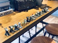 -ZING COFFEE 镜咖啡