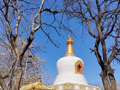 -护国法轮寺