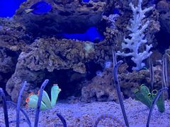 -成都浩海立方海洋公园