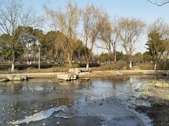 -阳澄湖半岛旅游度假区