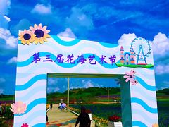 -莲花山花海