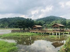 -仙水洋