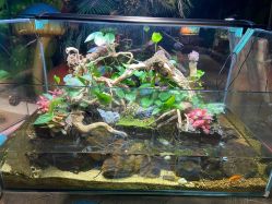 -酷嗒动物文化乐园(cutezoo西溪乐天城店)