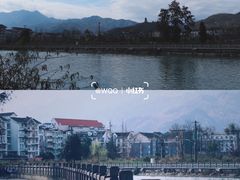 -老号尤兔头(幸福店)