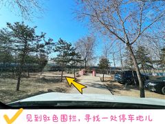 -绿堤公园