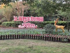-上海野生动物园