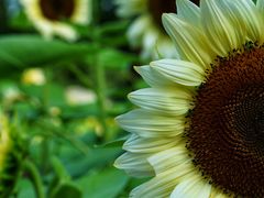 -奥林匹克森林公园北园-停车场