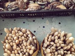 -南沙十九涌渔人码头-南门