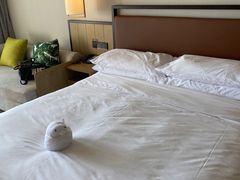 -三亚亚龙湾万豪度假酒店