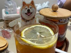 -逗柴咖啡屋·狗咖猫咖宠物桌游