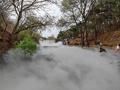 -北京西山国家森林公园