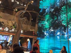 -桂满陇·海市蜃楼·黑金(国金店)