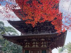 -醍醐寺
