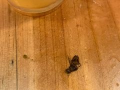 -洪大厨鸡煲(福田店)