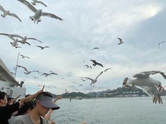 -海驴岛(荣成市)
