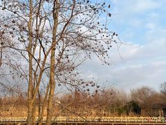 -溱湖国家湿地公园