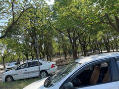 -安飞驰驾校·学车连锁(金高店)