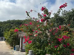 -精酿农场Brew Farm·沙漠绿洲餐厅