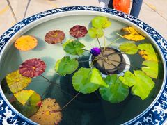 -龙华素斋(龙华路店)