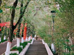 -红山公园