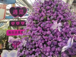 -特味村·宴会厅(生态园店)