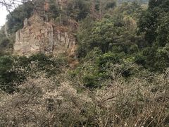 -广州市石门国家森林公园