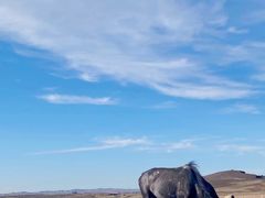 -亿利库布其七星湖沙漠生态旅游区