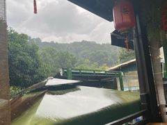 -阿巧茶庄