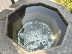 -钱王祠