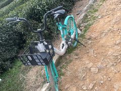 -龙坞茶村