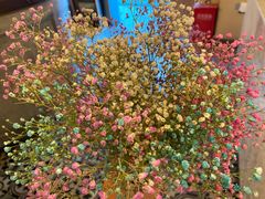 -奔马滚轴溜冰场