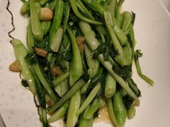 -华膳楼·安徽地标美食·中华餐饮名店(文化公园店)