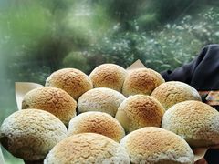 -凤凰山斑鱼馆(恭城店)