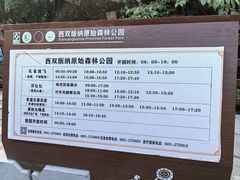 -西双版纳原始森林公园